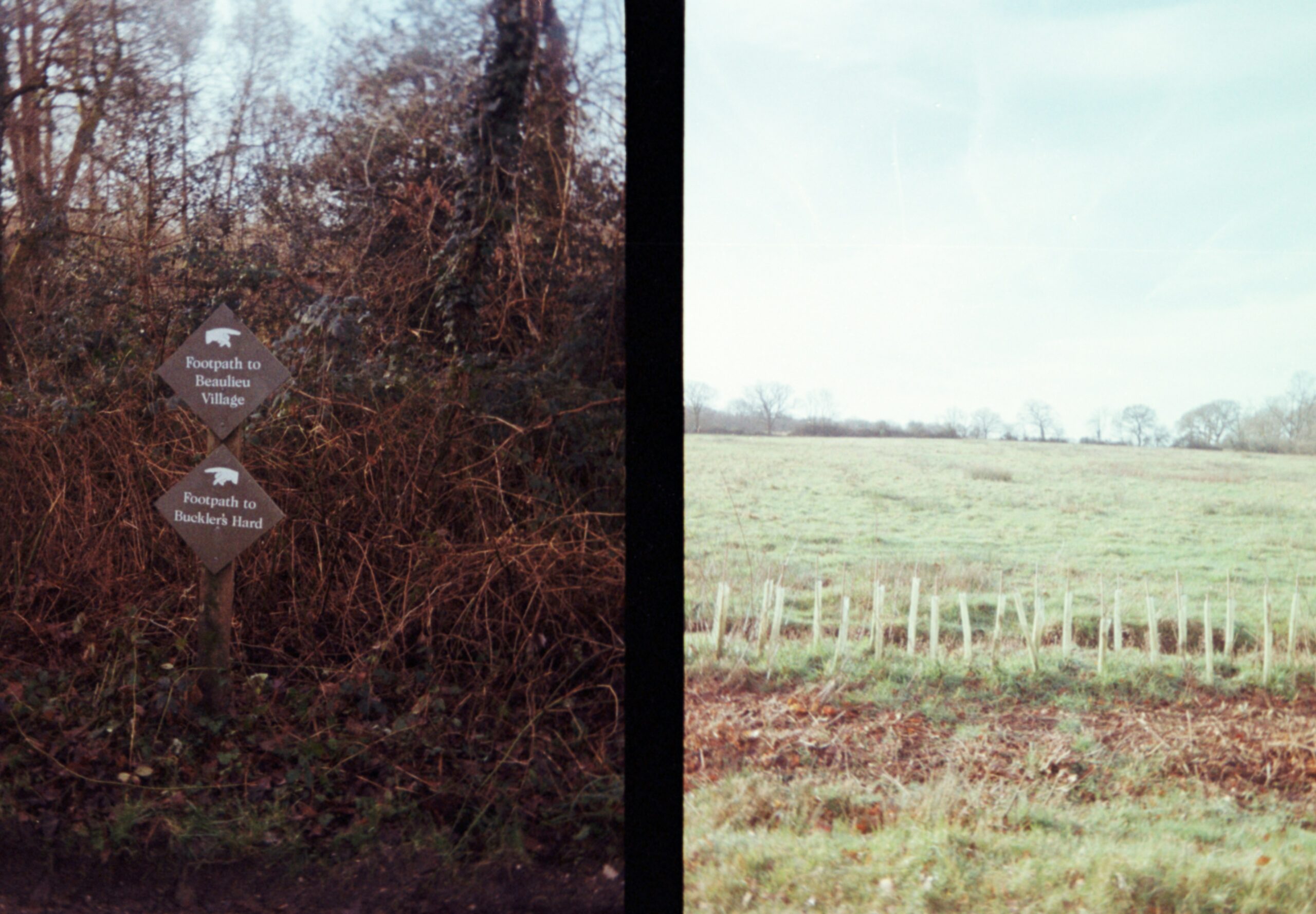 Before and after photos of a remediated lot