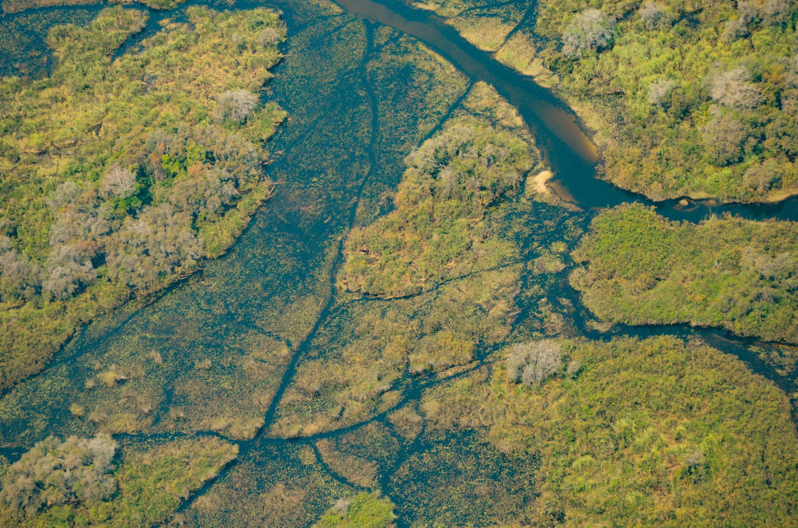 Detailed infographic showing components of Environmental Impact Reports