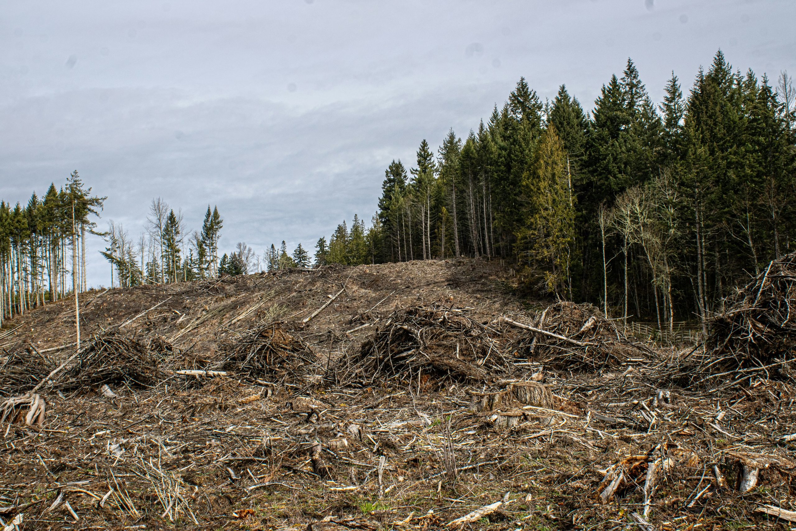 environmental insurance claim