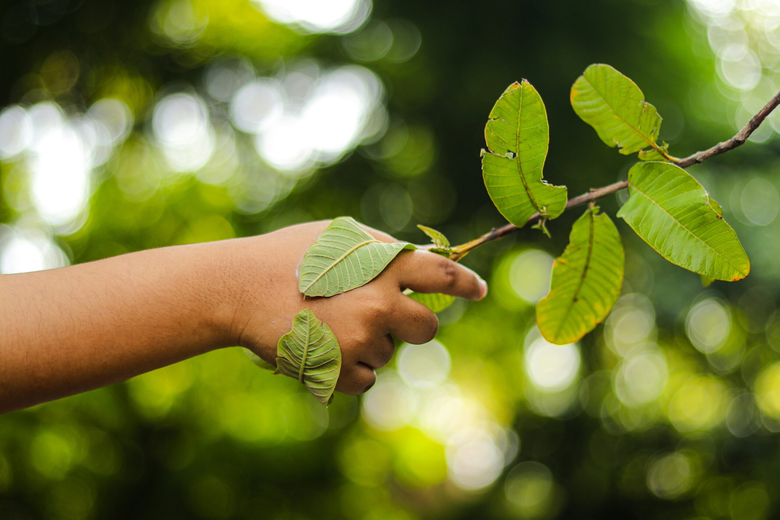 Infographic comparing rewards for different types of eco-spending