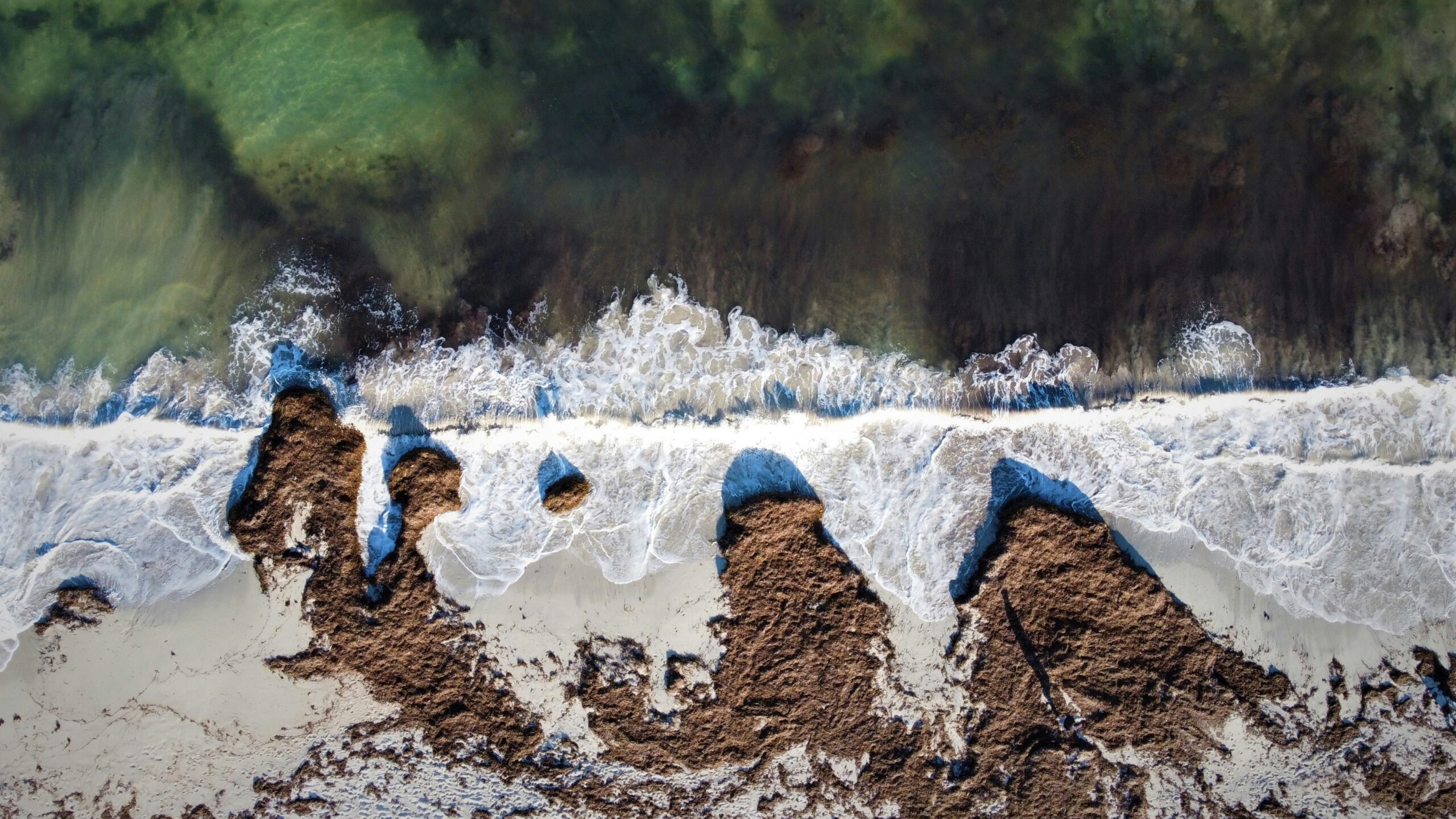 Flowchart detailing the phases of soil remediation