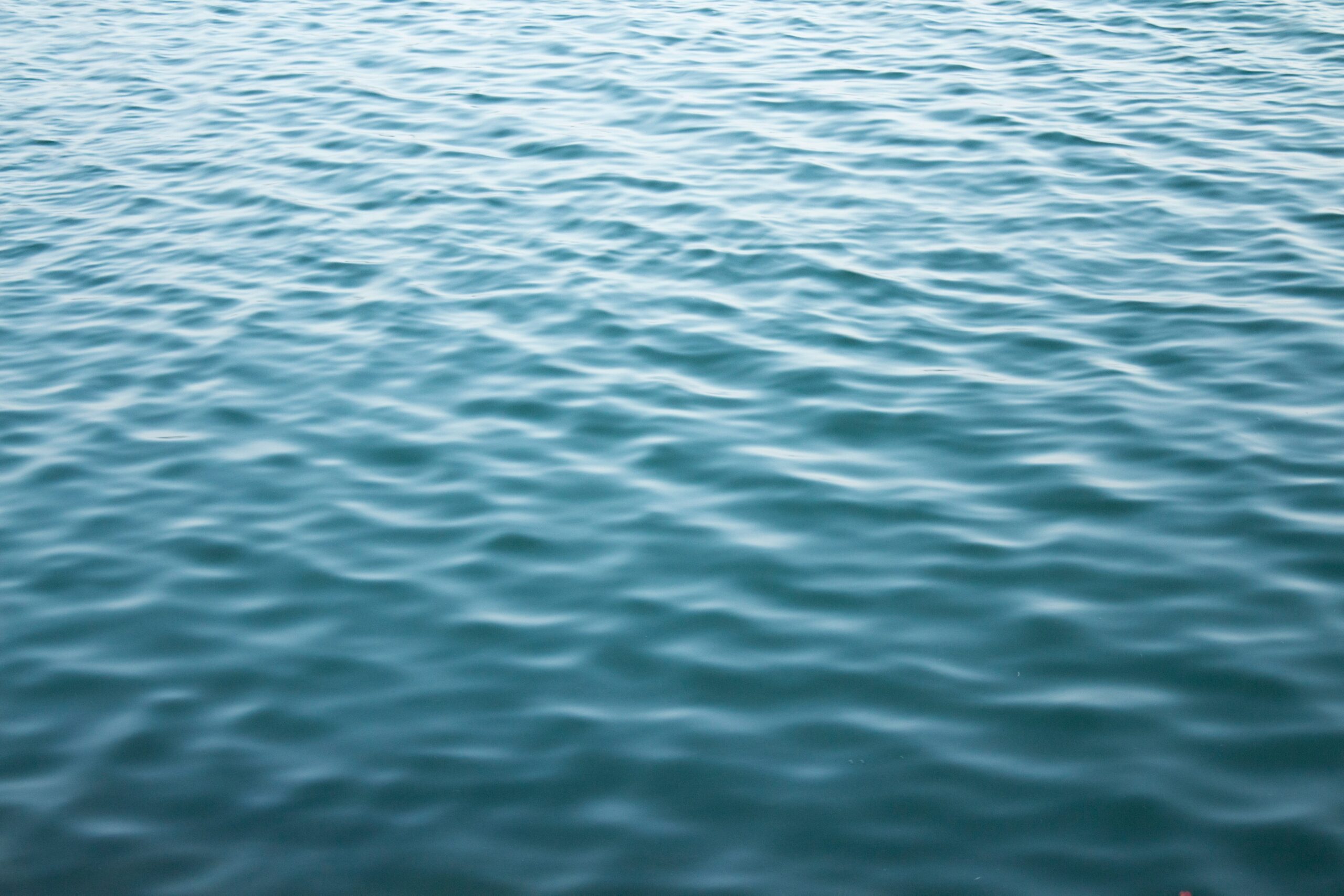water pollution cleanup