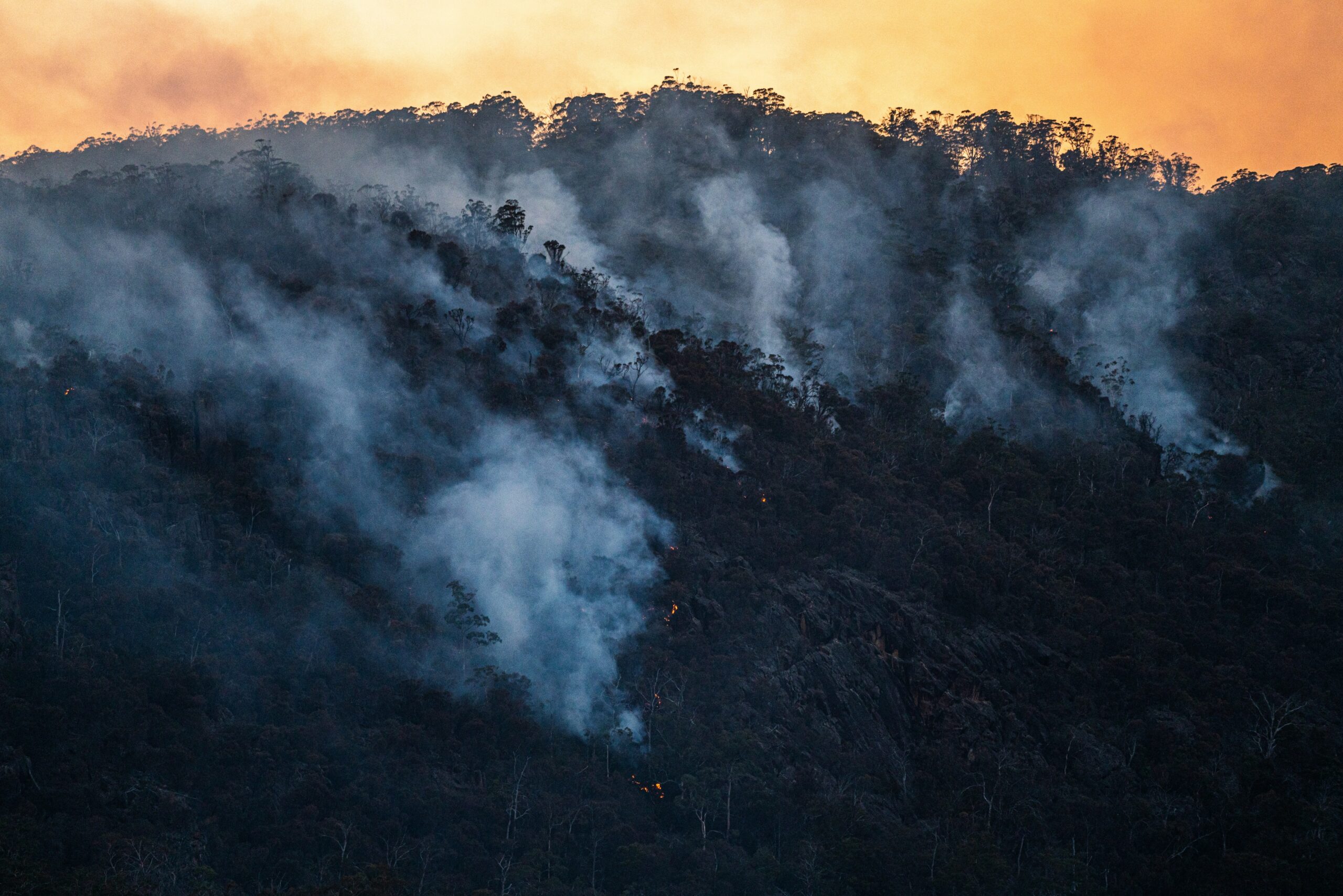 climate change impact on finances