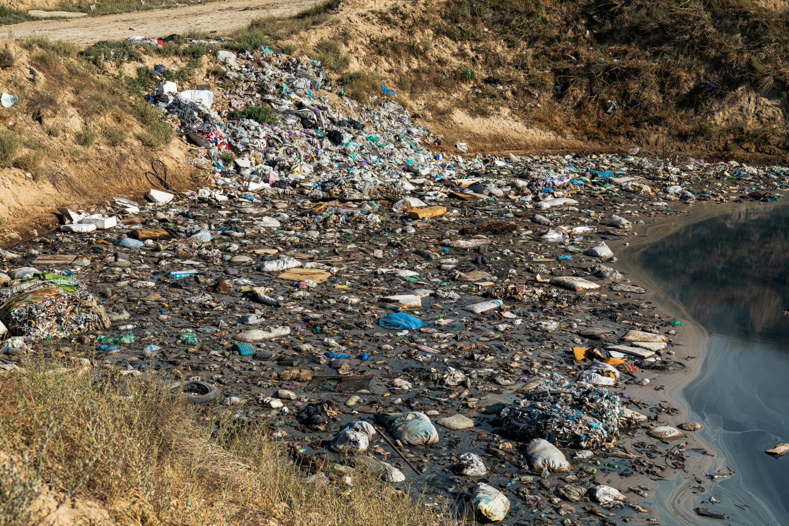 How Environmental Impact Reports Can Transform Your Credit Card and Insurance Choices