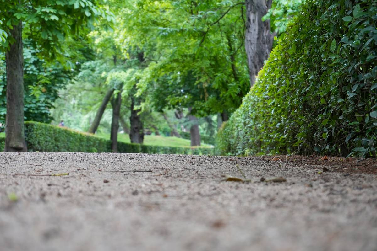 Mastering Eco Claim Steps: Your Go-To Guide for Environmental Insurance Success