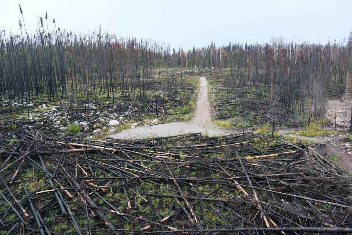 Infographic showing increasing environmental fines over the past decade.