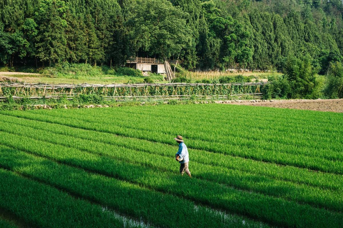 The Ultimate Guide to Env Claim Filing in Environmental Insurance