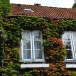 The Ultimate Eco Claim Guide: Navigating Environmental Insurance Like a Pro