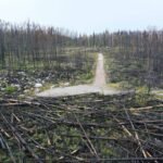 Mastering Pollution Claim Support: Your Ultimate Guide