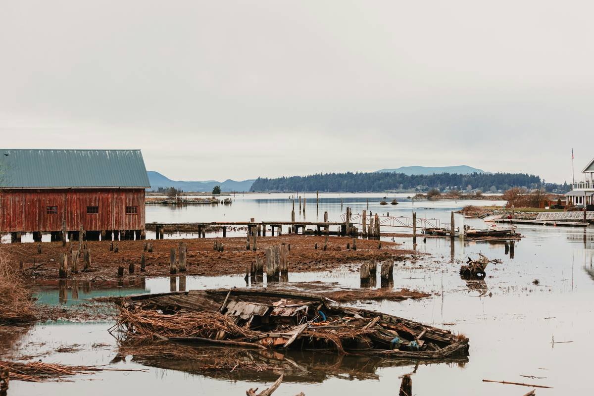 Bar chart showing 68% of environmental insurance claims are initially denied due to insufficient documentation or policy misclassification