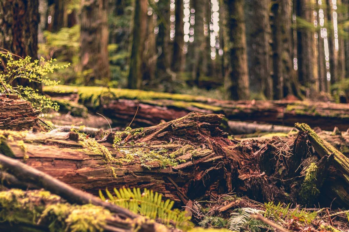 Chart comparing standard CGL policy exclusions vs. pollution coverage insurance inclusions for common scenarios like chemical spills, mold, and fuel leaks
