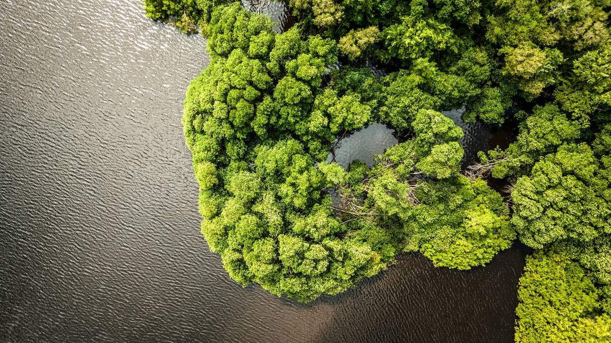 Infographic showing gap between standard liability insurance (excludes pollution) vs. pollution env liability insurance (covers sudden & gradual contamination, cleanup, lawsuits)