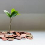 Env Pollution Review: Why Your Credit Card & Insurance Choices Impact the Planet (and Your Wallet)