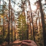 What Is a Green Risk Eval—and Why Your Business Can’t Afford to Skip It