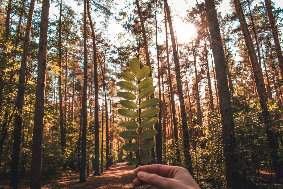 What Is a Green Risk Eval—and Why Your Business Can’t Afford to Skip It