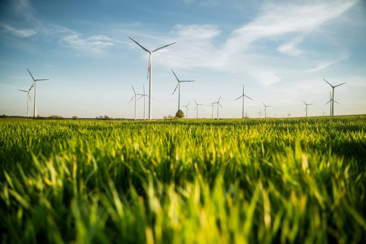 What Is a Risk Green Profile—and Why It Could Save Your Business (and the Planet)