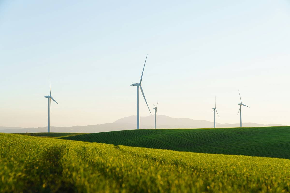 What Is Eco Env Coverage? Your No-Fluff Guide to Environmental Insurance That Actually Protects the Planet (and Your Wallet)