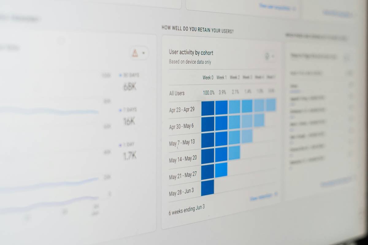 Analytics dashboard for content marketing with 1981 Digital