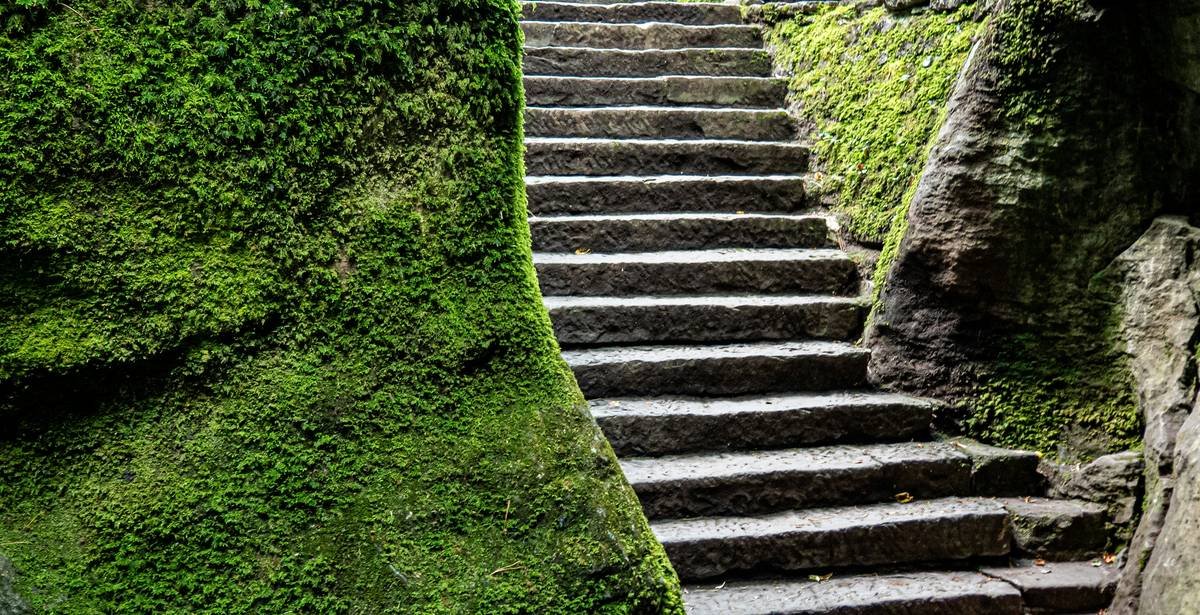 Stone stairs ascend through mossy rocks