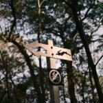 What Is an Eco Risk Review—and Why Your Business Can’t Afford to Skip It