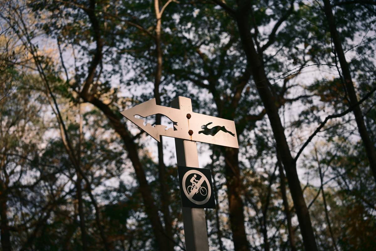 What Is an Eco Risk Review—and Why Your Business Can’t Afford to Skip It